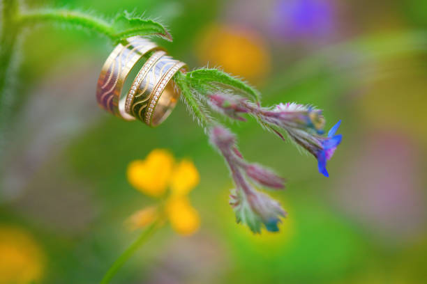 Pair wedding rings in flowery branch on nature