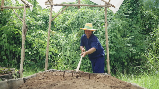 Man asian farmers are shoveling the soil in the fields. for growing vegetables organic in vegetable plot.