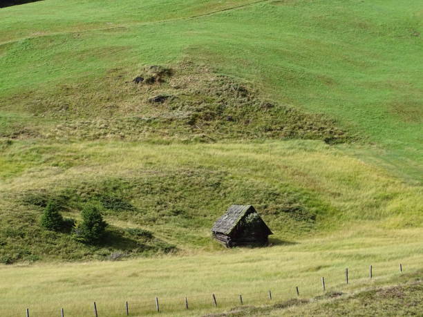istock Hut on an alpin meadow 1514303731