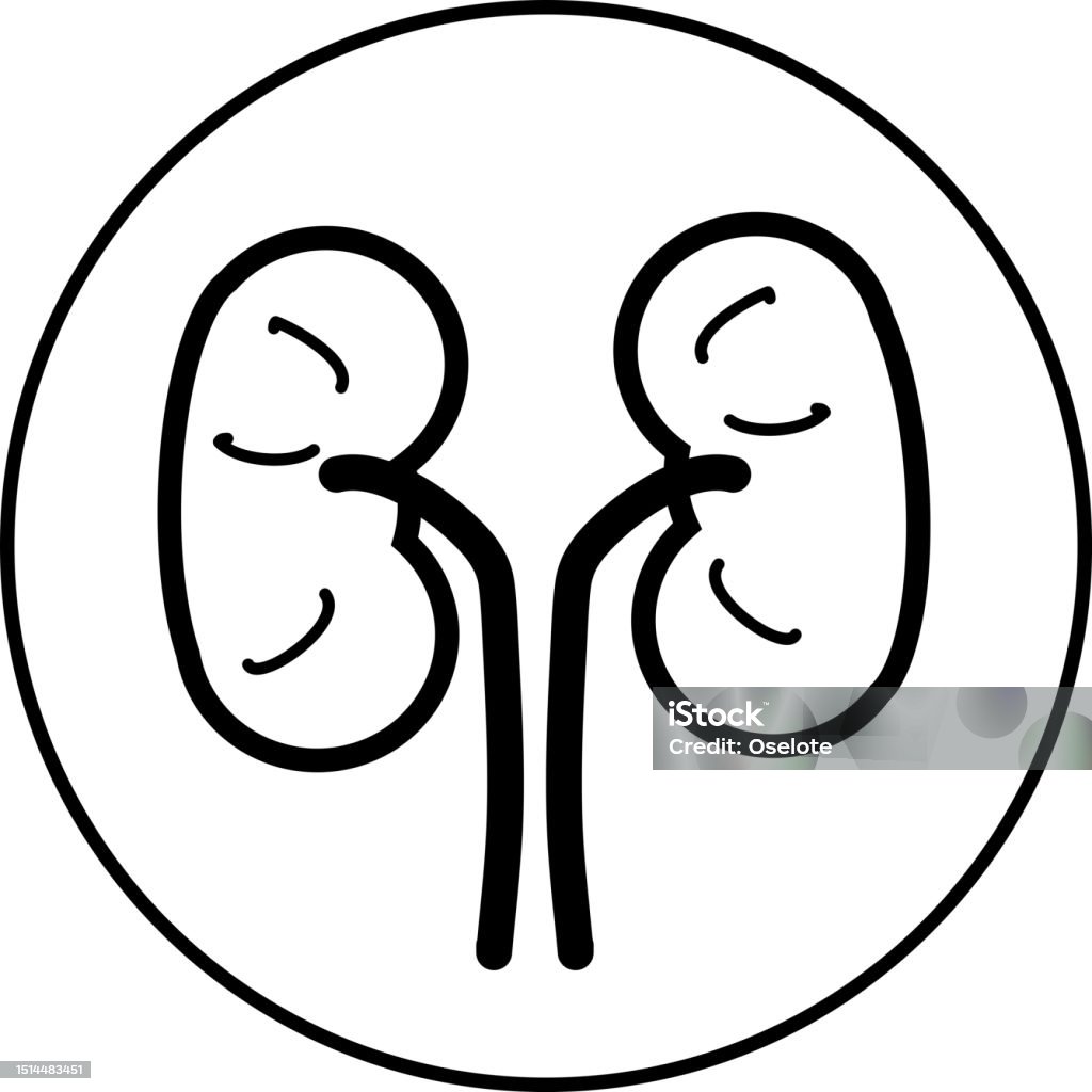 Proper Kidney Function Medicinal Business Concepts A Lineart Emblem And