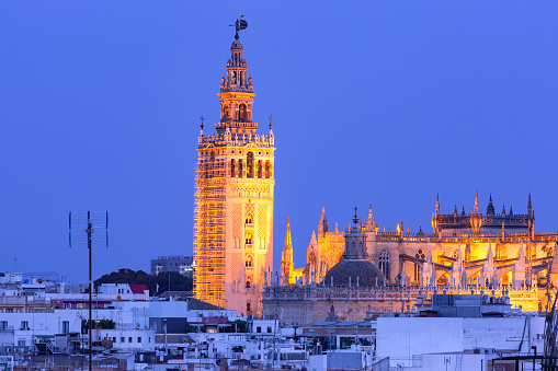 Aerial view of famous Bell Tower named Giralda at night, Seville, Andalusia, Spain