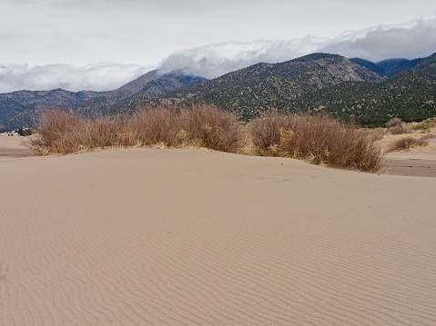 Vast sand dunes with ripples created by the wind at Great Sand Dunes national park. The Sangre de Cristo mountains rise above the clouds in the background.