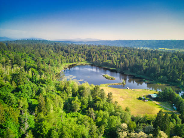 barragem de loutsis, duvall, washington - duvall - fotografias e filmes do acervo