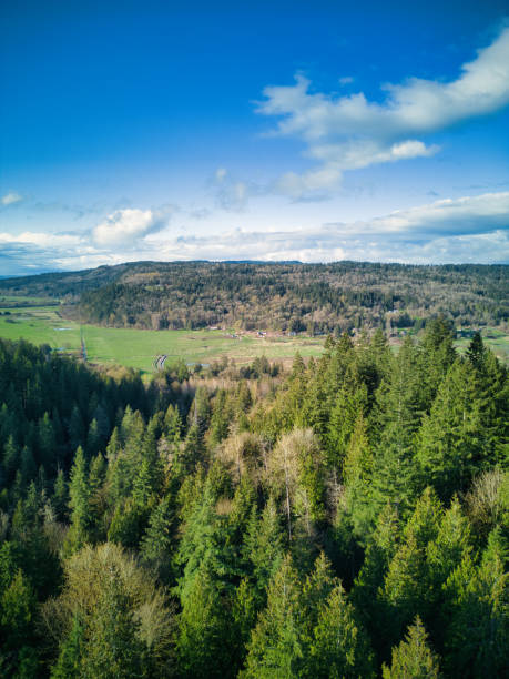 snoqualmie valley cherry creek - duvall zdjęcia i obrazy z banku zdjęć