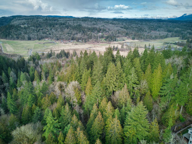 vale snoqualmie cherry creek - duvall - fotografias e filmes do acervo