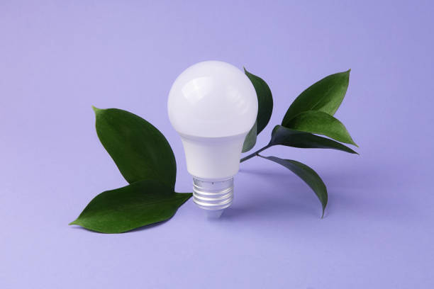 istock Led bulb with fresh green leafs,green energy concept. 1514582064