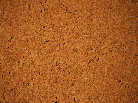 Captivating Corkboard Slate: A Study in Texture