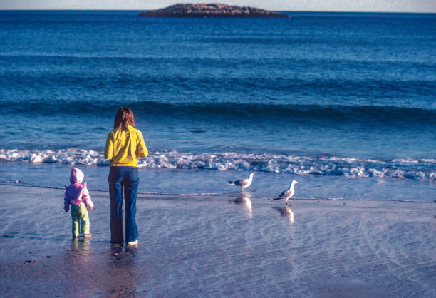 istock Acadia NP - Mother & Child & Seagulls - 1980 1514642150
