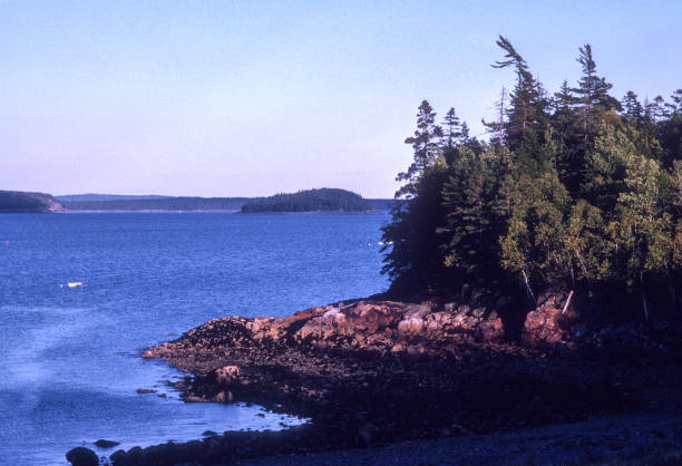 istock Acadia NP - Evergreens by the Bay - 1980 1514643206