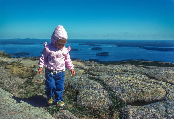 acadia np - batole na hoře cadillac - 1980 - atlantského oceánu fotky - stock snímky, obrázky a fotky