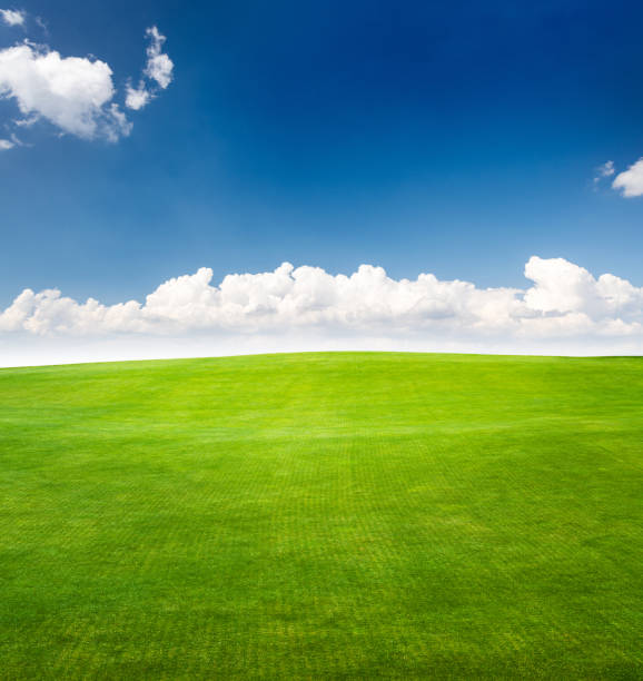 istock Landscape with green grass field under a blue sky 1514654858