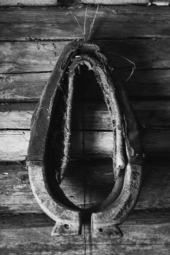 Old shabby horse collar on a wooden rustic wall. Black and white vintage photo style.