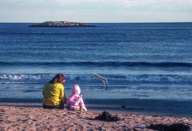 istock Acadia NP - Mother, Daughter & Seagull - 1980 1514656439