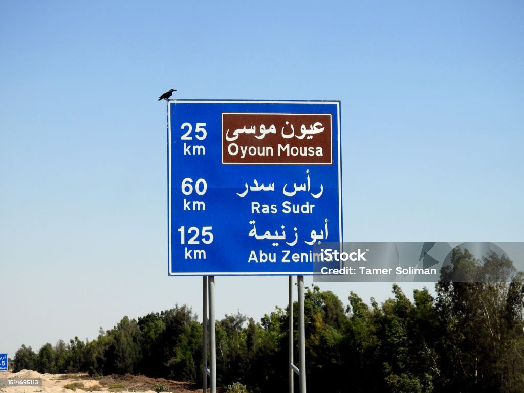 A road traffic board sign in Arabic and English shows the distance to Oyoun Mousa 25 KM, Ras Sudr city 60 KM and Abu Zenima 125 KM on Sharm El Sheikh Road in South Sinai city, Egypt A road traffic board sign in Arabic and English shows the distance to Oyoun Mousa 25 KM, Ras Sudr city 60 KM and Abu Zenima 125 KM on Sharm El Sheikh Road in South Sinai city, Egypt, selective focus Al-Arīsh Stock Photo