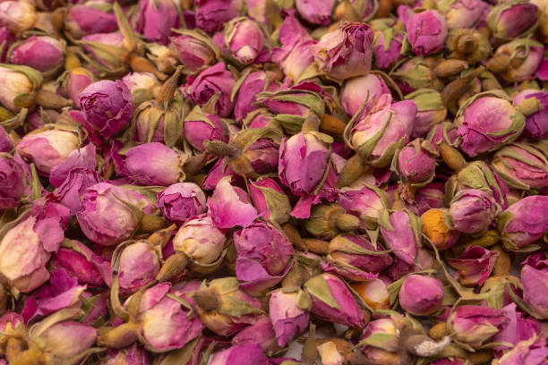 istock Dry tea roses isolated on white background. 1514705873