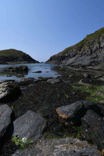 port quin on the north cornish coast - english quin imagens e fotografias de stock