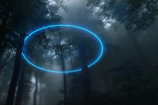 Abstract glowing circle in the foggy wood. Virtual reality portal, metaverse concept.