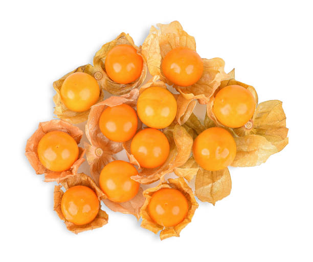 uva spina del capo (physalis) isolata su bianco - isolated on white orange juice ripe leaf foto e immagini stock