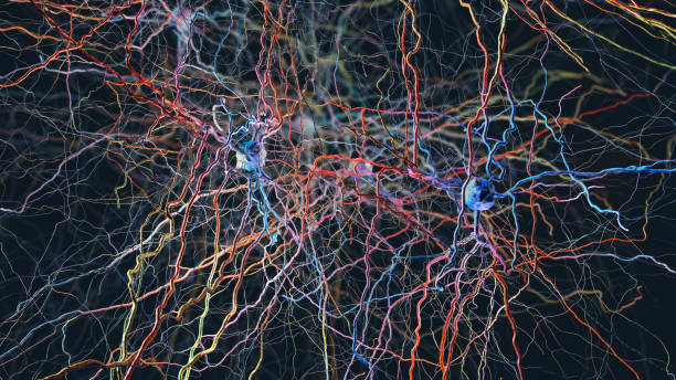istock Neurons or nerve cells connected in neuronal network- 3d illustration 1514736940