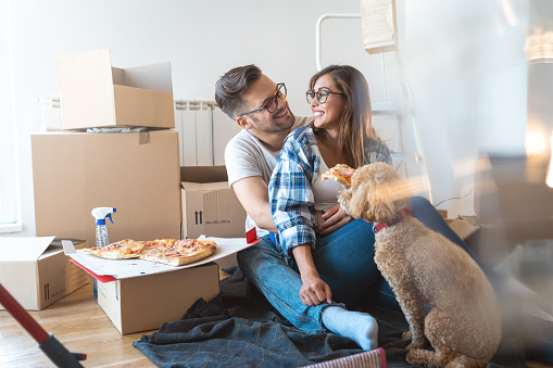 Cheerful couple enjoying fast food with their cute poodle dog surrounded by boxes.