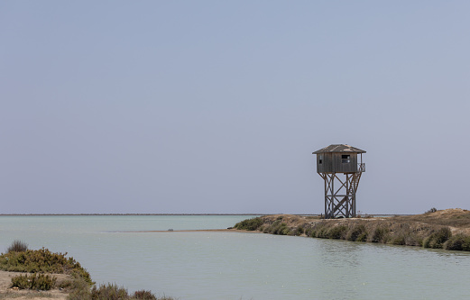 the natural Park of Quinta de marim of Ria Formosa near the Town of Olhao at the east Algarve in the south of Portugal in Europe.