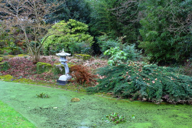 istock Stoke Park Gardens, Guildford, UK 1514819660