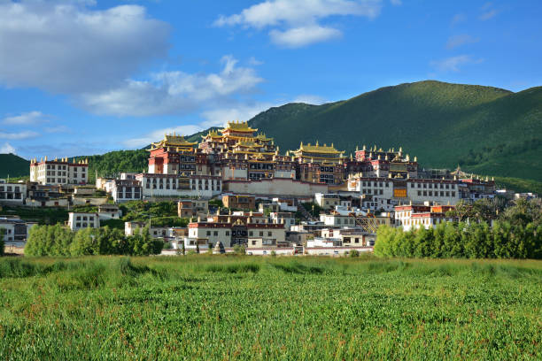 beautiful view of the ganden sumtseling tibetian temple in zhongdian (shangri-la), china. - tibet potala palace lhasa himalayas imagens e fotografias de stock