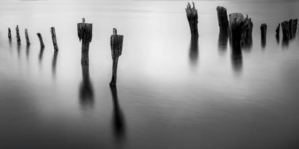 istock Abstract geometry of old pilings on the beach 1514861642