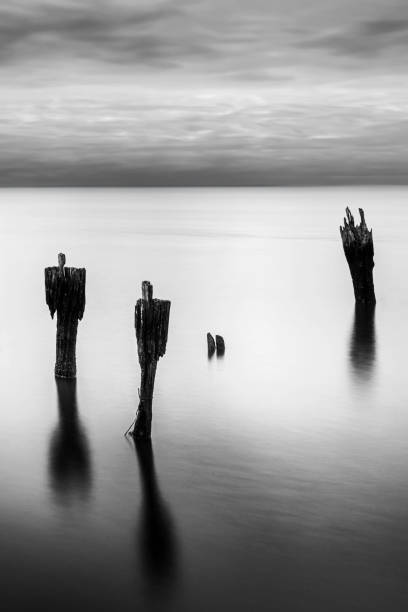 istock Abstract geometry of old pilings on the beach 1514861646