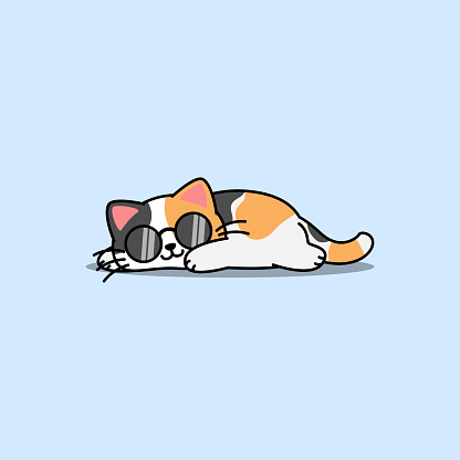 Lazy calico cat with sunglasses sleeping cartoon, Cute fat cat three color, vector illustration