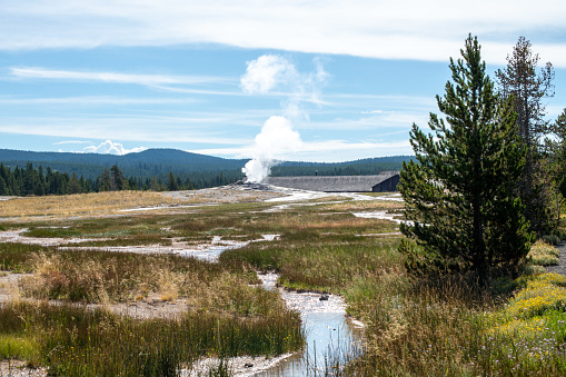 A small geyser erupts at Yellowstone National Park in Wyoming.