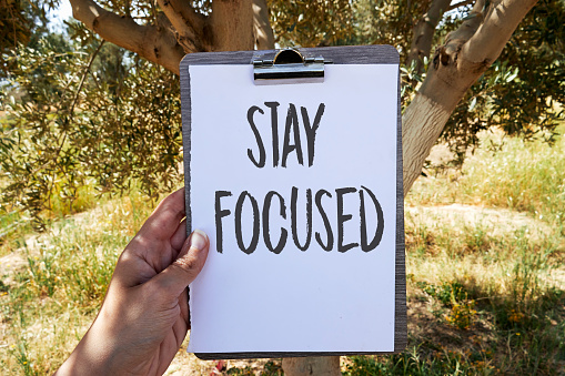 Stay focused symbol.hand woman holding a clipboard with Stay focused concept near olives trees field. Business, support, motivation, psychological and stay focused concept