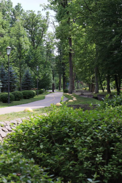 istock Footpath in the park. Pedestrian walkway. 1514961284
