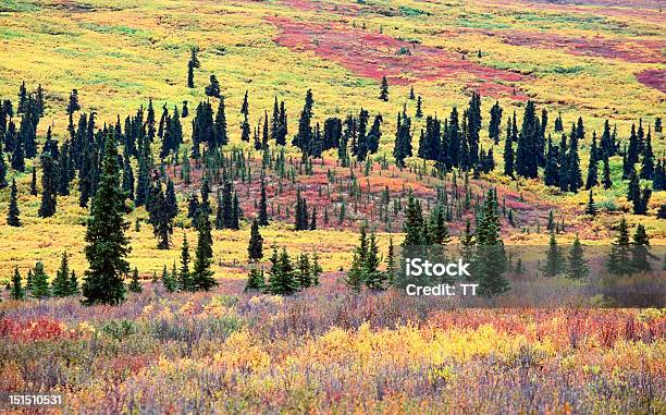 Малый Пейзаж — стоковые фотографии и другие картинки High Country - High Country, Аляска - Штат США, Без людей