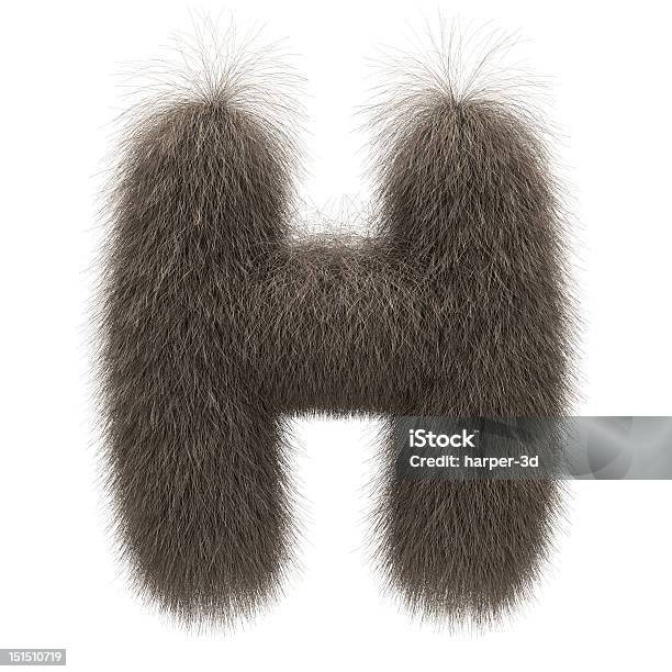 Letter H From Fur Alphabet Stock Photo - Download Image Now - Letter H, Alphabet, Animal Hair