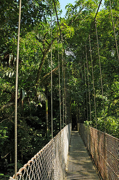 istock Hanging Bridges in Costa Rica 151511908