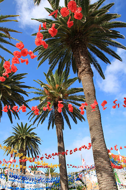 Palm trees and decoration for traditional party in Porto Santo downtown