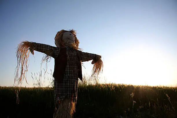 Photo of Scarecrow in the field