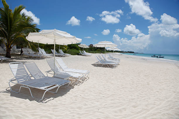 istock Sun loungers and Umbrellas on Caribbean beach 151513434