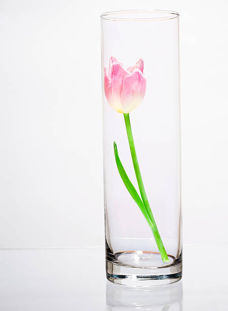 istock Flower in glass vase 151513725