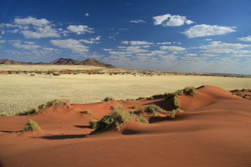 Deadvlei and the sand dunes of Namibia.