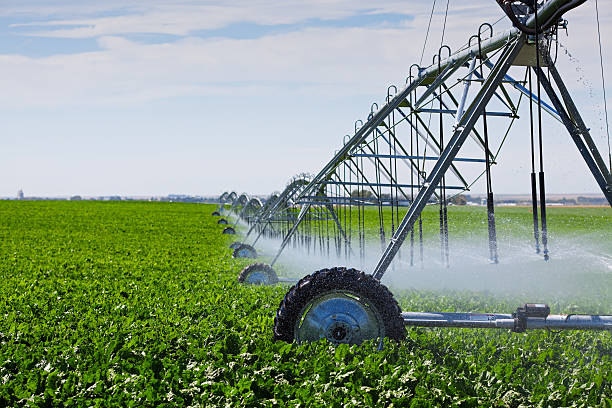 irrigação com pivô - equipamento de irrigação - fotografias e filmes do acervo