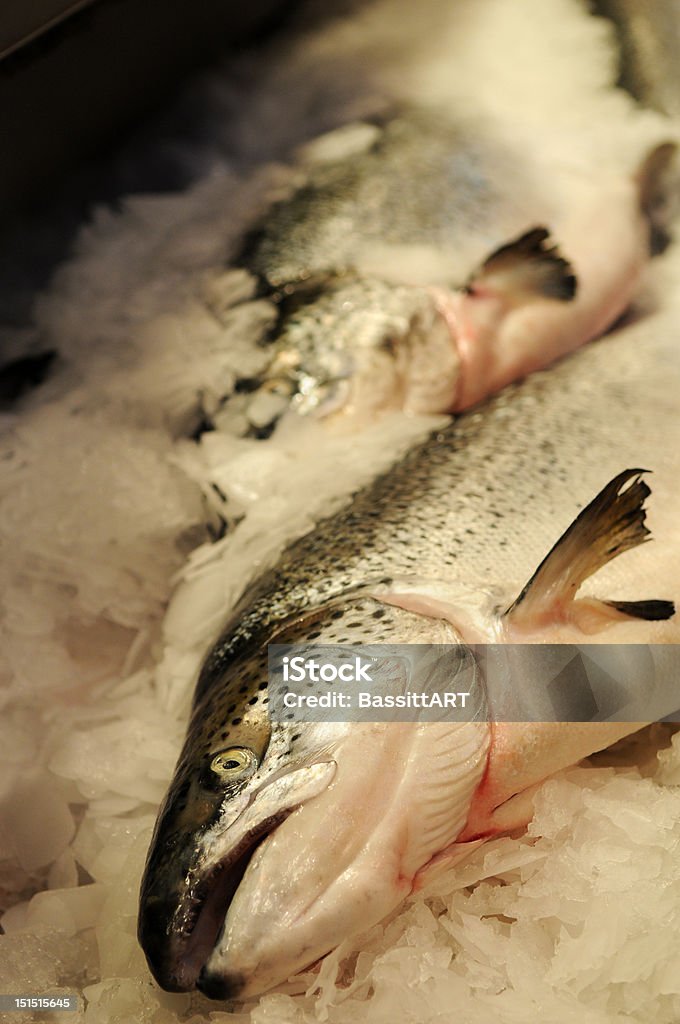 Salmone fresco - Foto stock royalty-free di Alimentazione sana