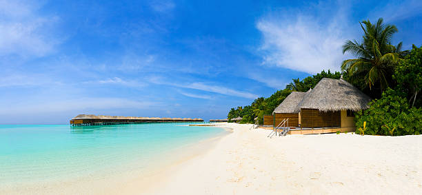 istock Panorama of tropical beach 151516157