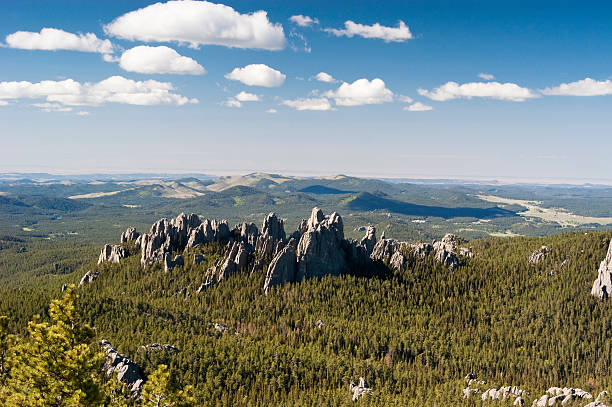 Towering rocky Black Hills over a mountain landscape view of the Black Hills from the Harney Peak Trail black hills photos stock pictures, royalty-free photos & images