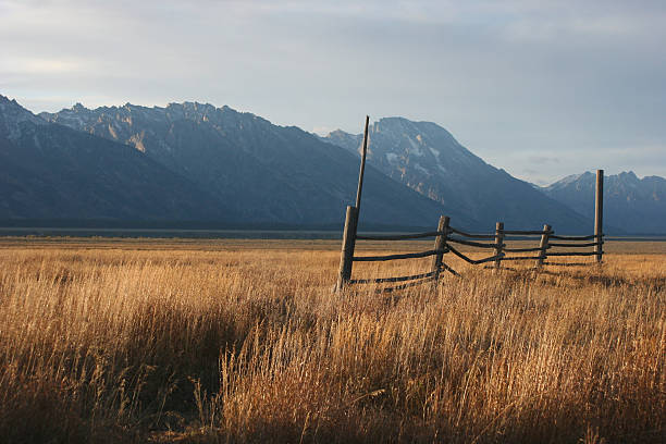 Old Fence  - Mormon Row stock photo