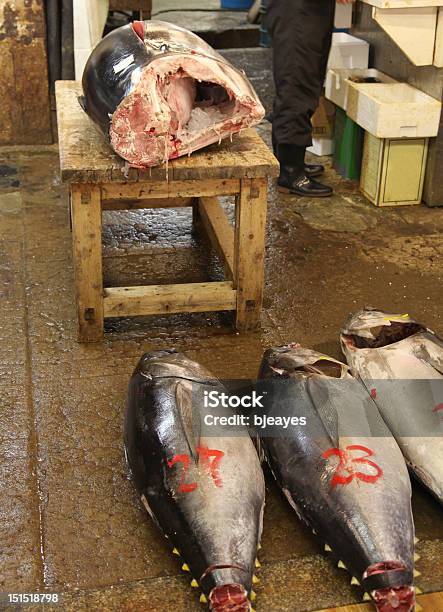 Atún De Aleta Amarilla Foto de stock y más banco de imágenes de Alimento - Alimento, Animal muerto, Asia