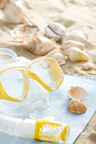 istock Yellow snorkel mask 151518813