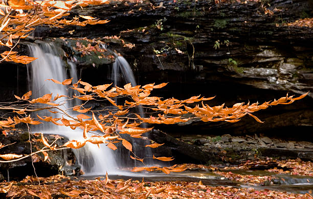 Waterfall in Ricketts Glen State Park stock photo