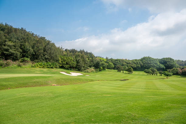 istock Green lawn and forest at the golf exercise field 1515193193
